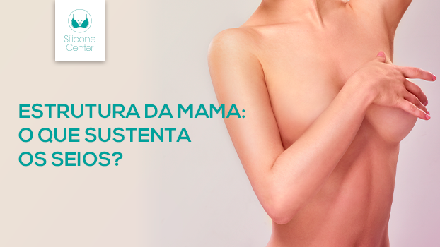 Aumento da mama feminina: o que sustenta os seios?