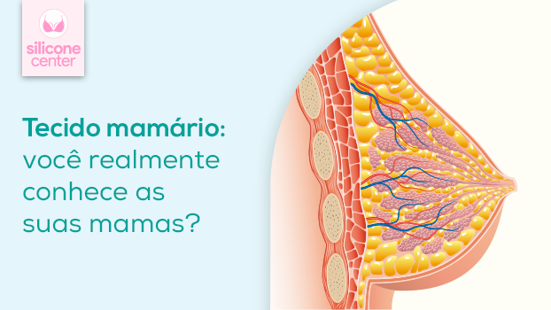 Tecido mamário: você realmente conhece os seus seios?