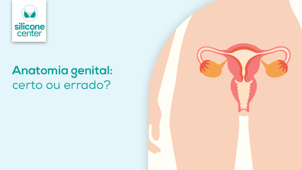 Anatomia genital: verdades e mentiras sobre a região íntima Ilustração mostrando o orgão reprodutor feminino